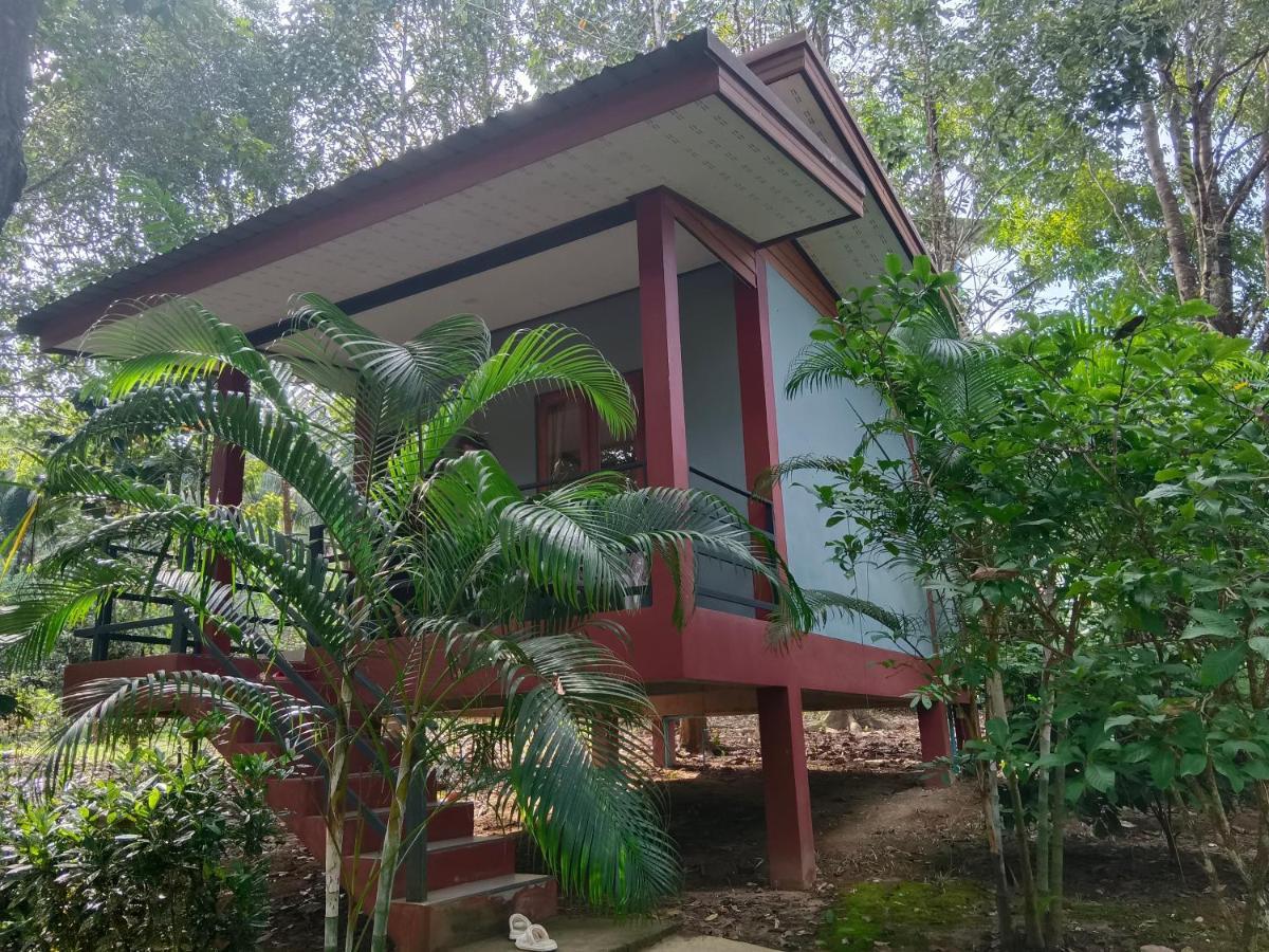 Khao Sok River & Jungle Bungalow Khao Sok National Park Extérieur photo