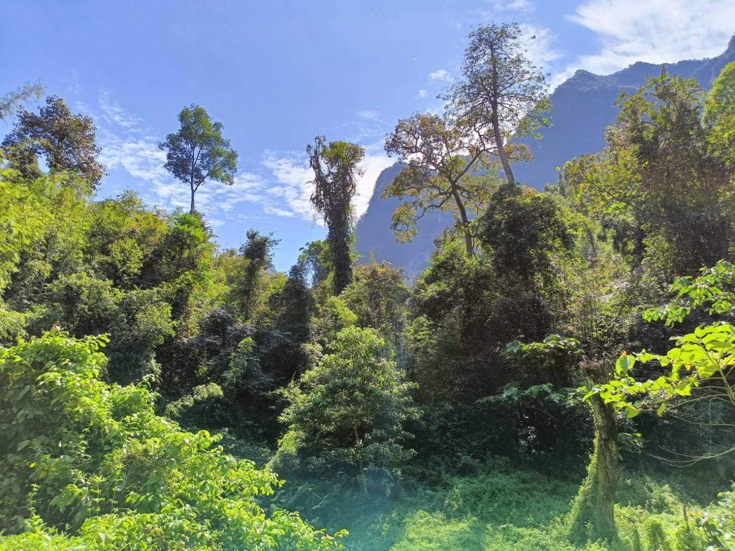 Khao Sok River & Jungle Bungalow Khao Sok National Park Extérieur photo